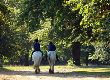 Hyde Park Riding Stables