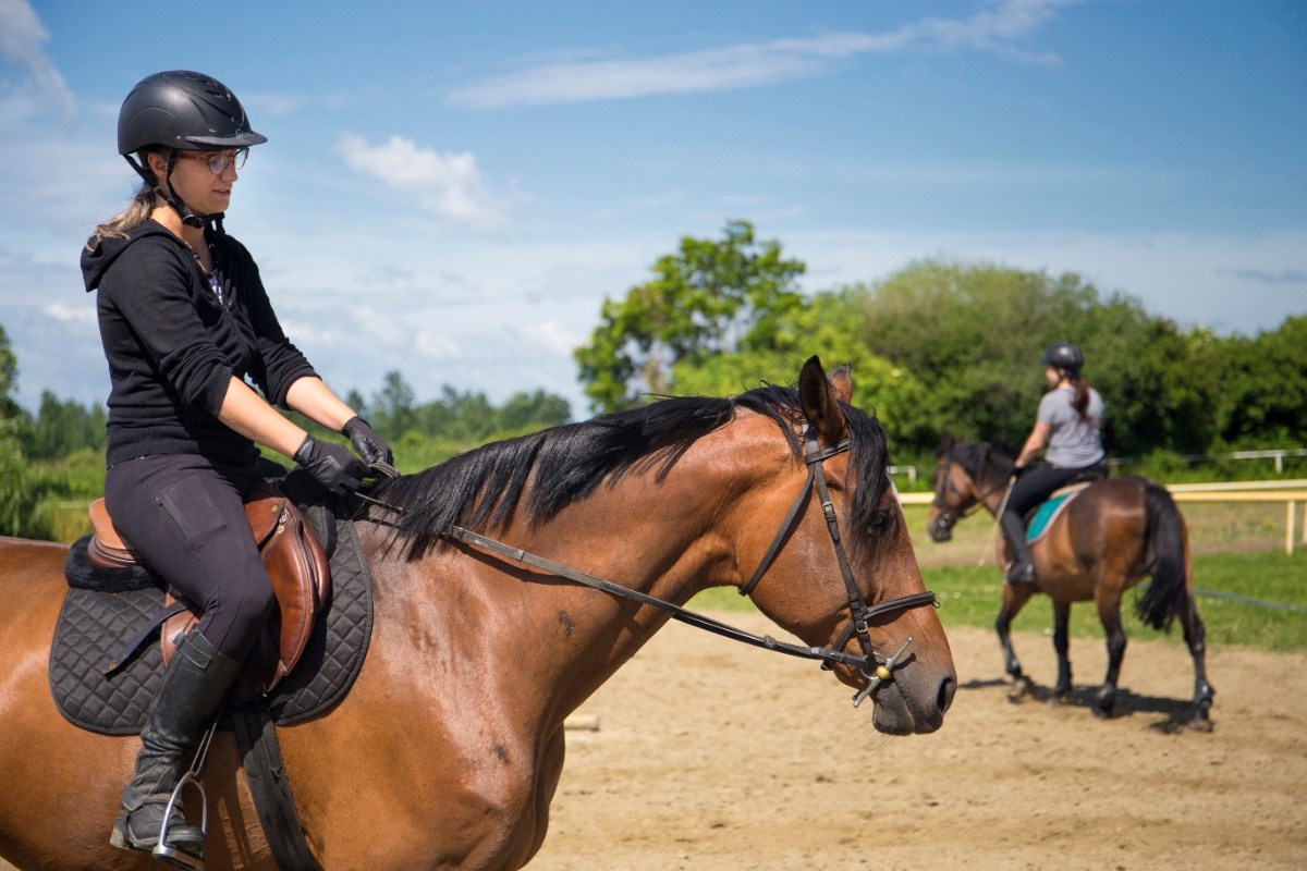 Invest in lessons before buying a horse - Horse Riding Article