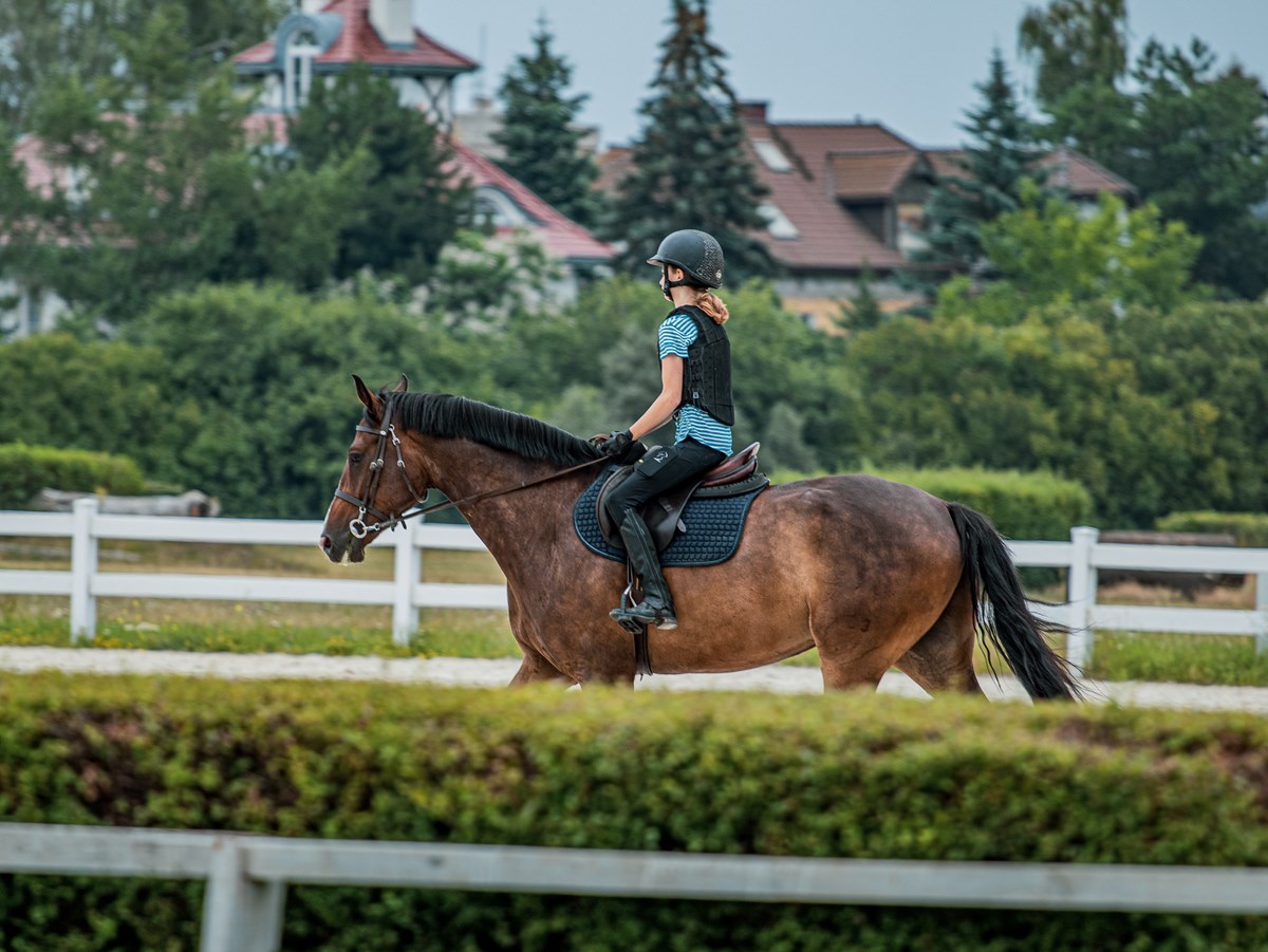 How to choose a riding school - Horse Riding Article