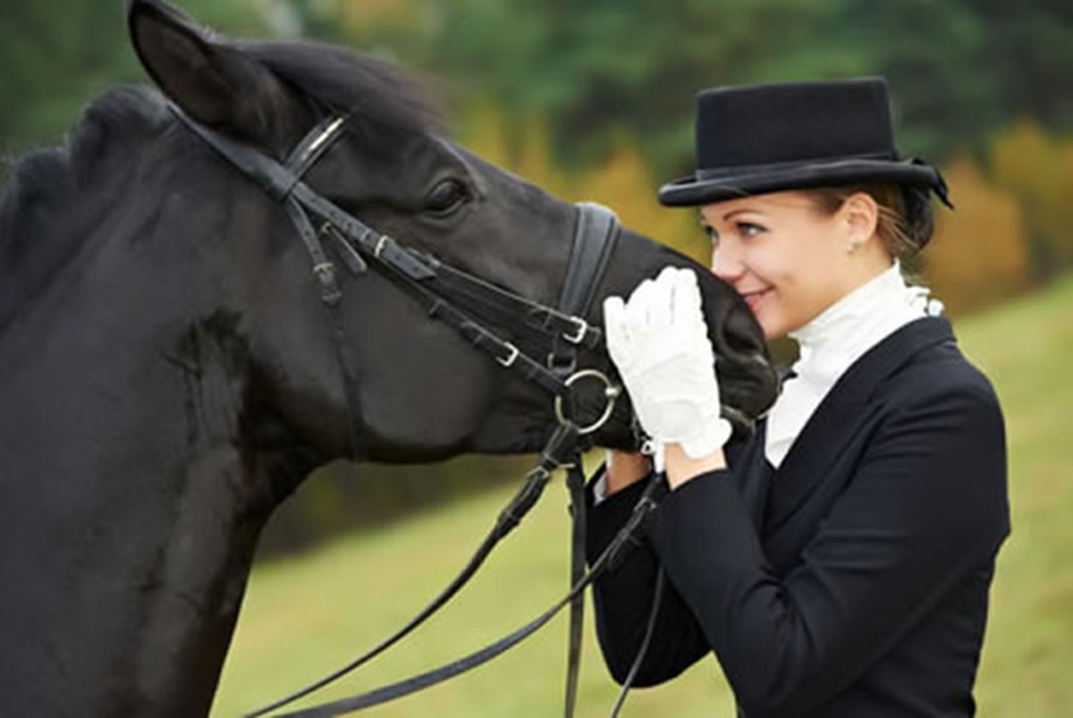 How to train a horse with body language - Horse Riding Article